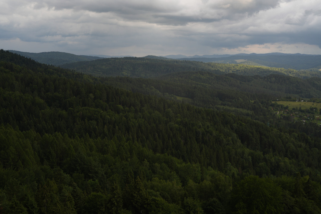 1/125 s, f/8, ISO 250, 50.0 mm