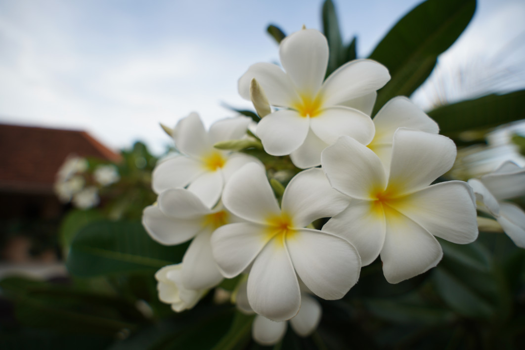 1/100 s, f/4, ISO 100, 17 mm