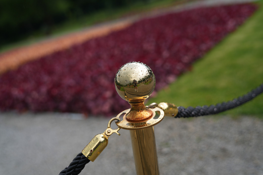 1/250 s, f/2.8, ISO 100, 50.0 mm