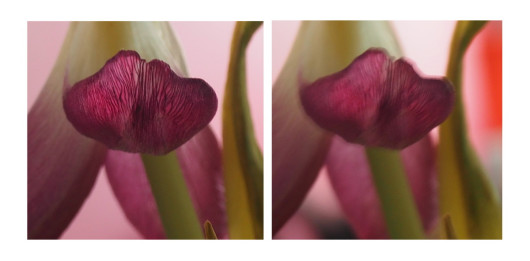 Wycinek kadru naświetlanego z czasem 1/4 s. Po lewej zdjęcie z OM-D E-M10 II, po prawej E-M10.