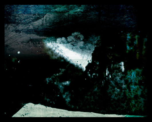 fot. Aletheia Casey, z cyklu No Blood Stained the Wattle