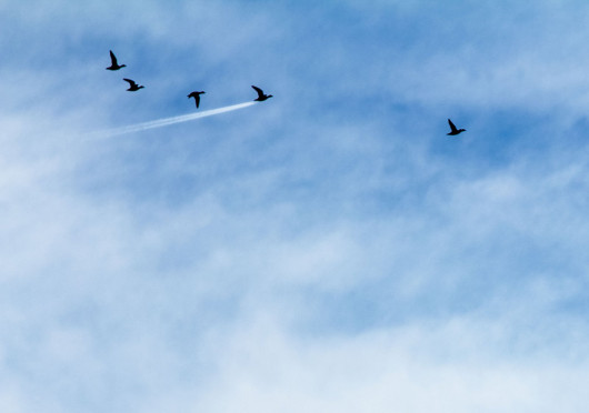 © John Threlfal - I miejsce w kategorii Up in the Air
