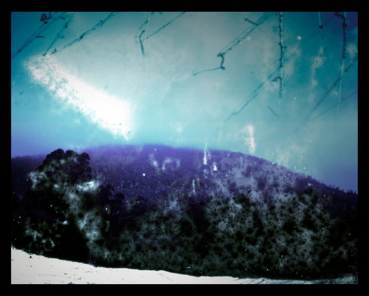fot. Aletheia Casey, z cyklu No Blood Stained the Wattle