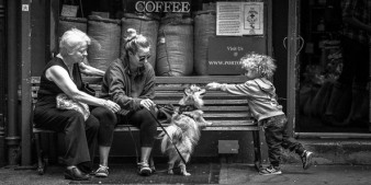 Adobe Lightroom w małym palcu - symulacja kliszy filmowej Ilford Delta