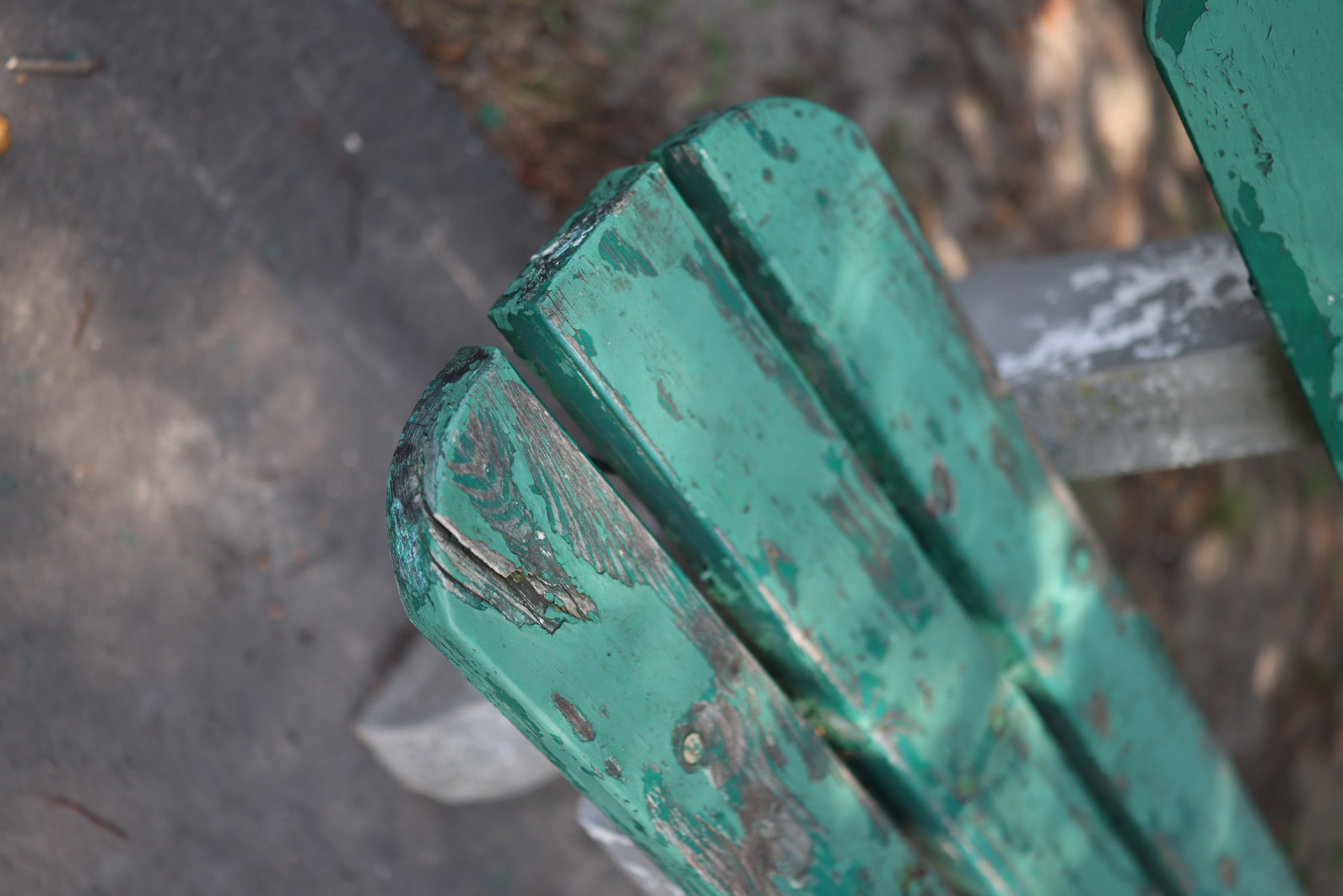 1/1000 s, f/1.4, ISO 100, 35.0 mm