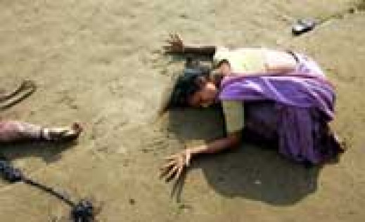 World Press Photo 2005