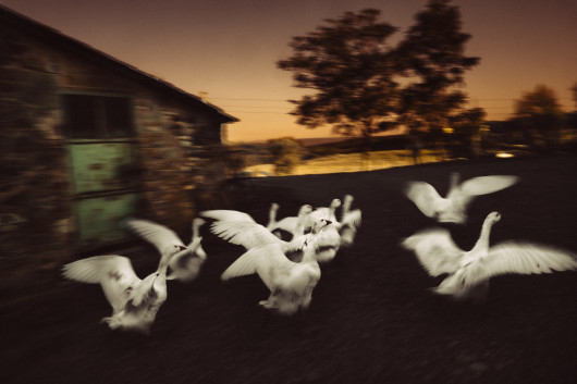 Francesco Lopazio, z projektu Children of Nature