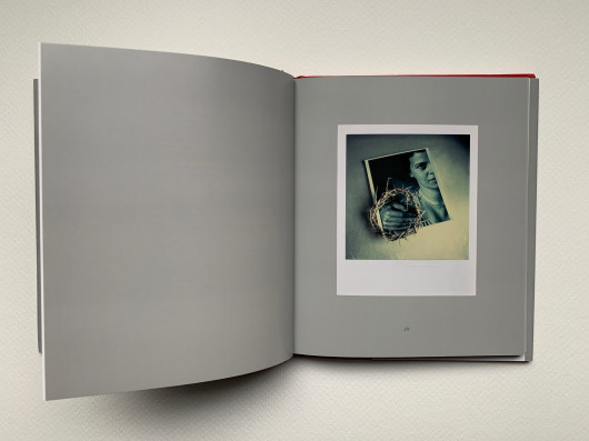André Kertész, Polaroids