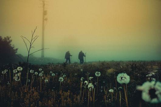 Francesco Lopazio, z projektu Children of Nature