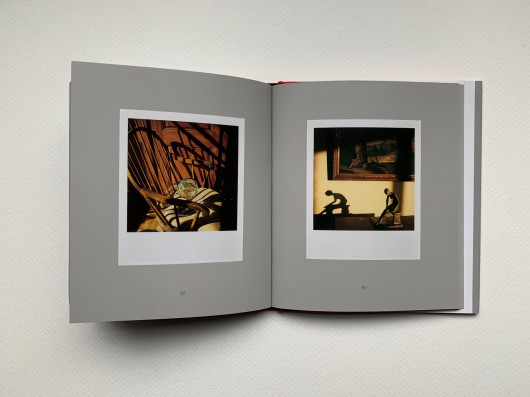 André Kertész, Polaroids