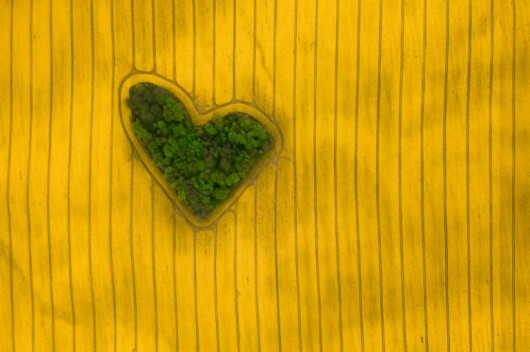 Jeremiasz Gądek, Island of Love, I miejsce w kategorii Nature