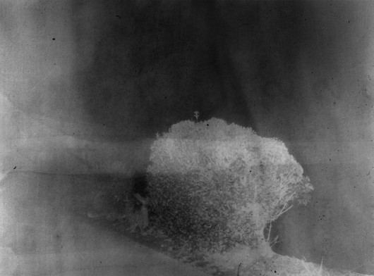 fot. Daisuke Yokota, z cyklu Nocturnes
