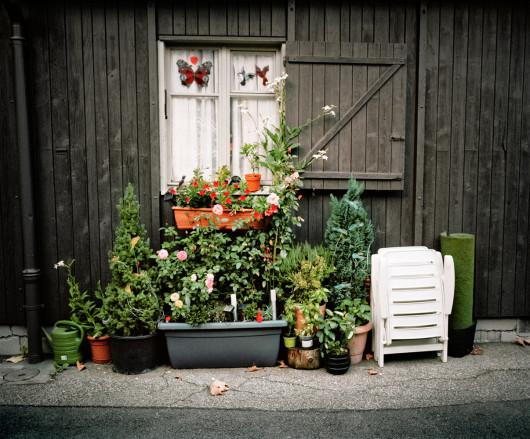 fot. Delphine Schacher Bois des Freres