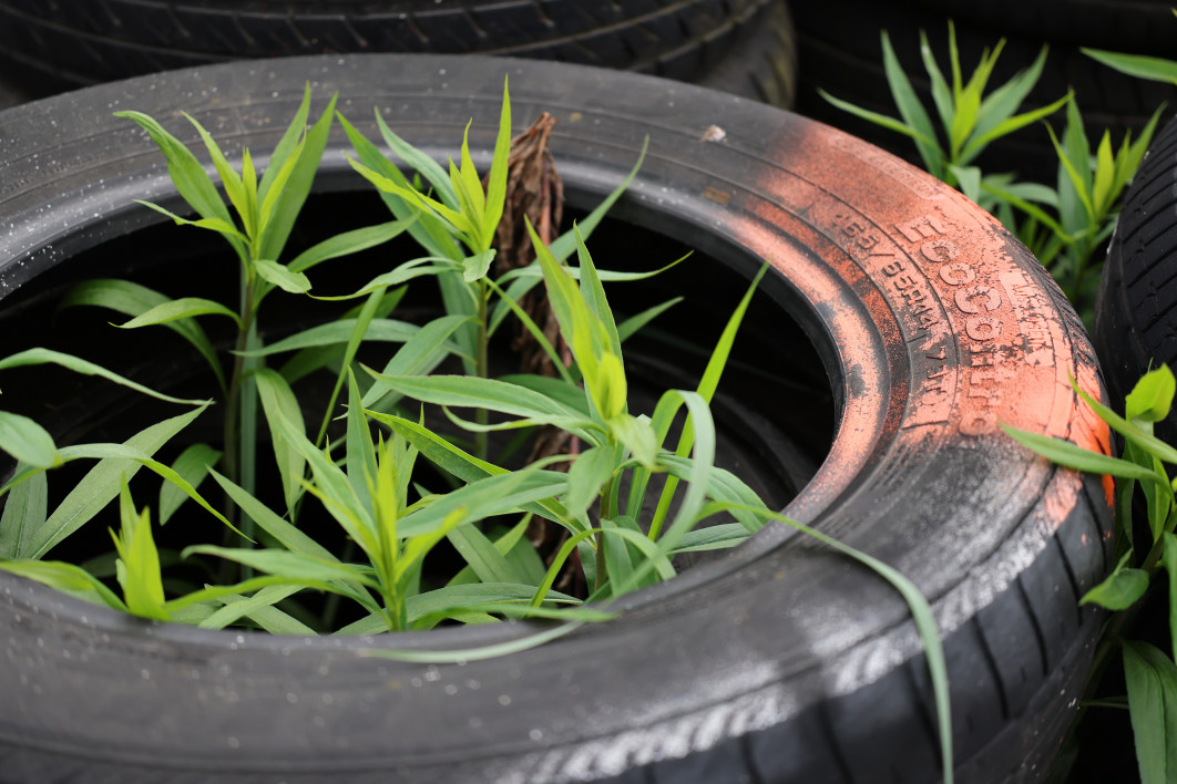 1/320 s, f/4, ISO 125, 50.0 mm