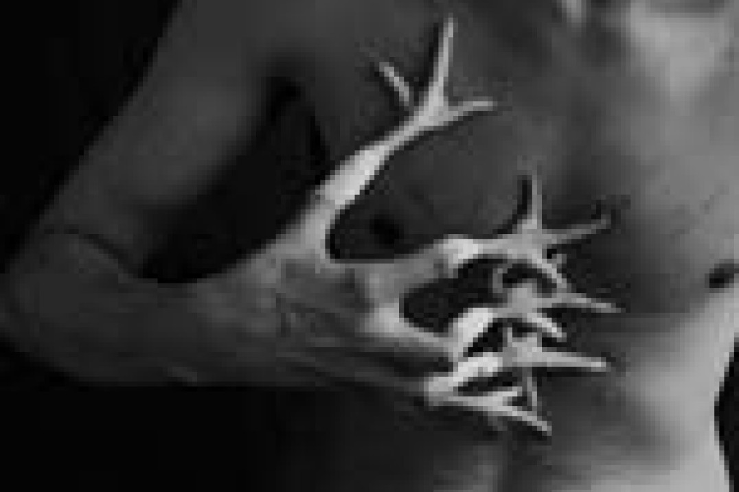 Stasys Eidrigevicius