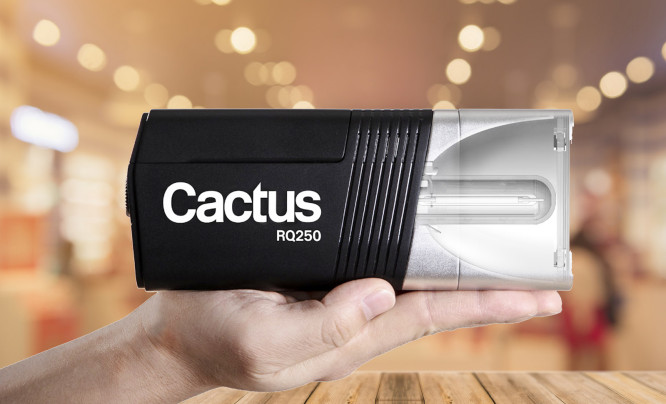  Cactus RQ250 - możliwości lampy studyjnej w kompaktowej formie