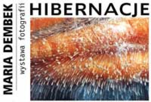 "Hibernacje" Marii Dembek