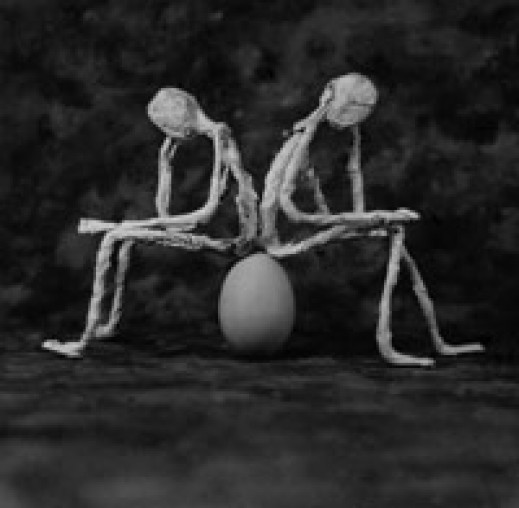 Fotograficzne opowiadania Wojciecha Rogowicza