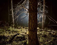 UFO sfotografowane przez Rogińskiego