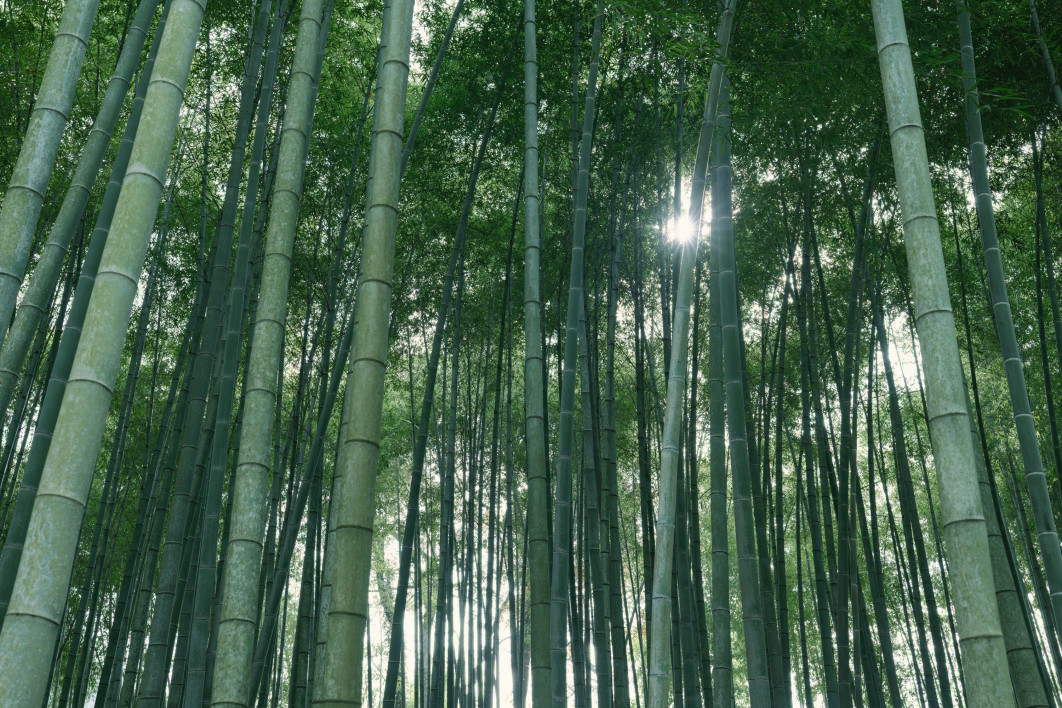 Fot. Du Li Chao