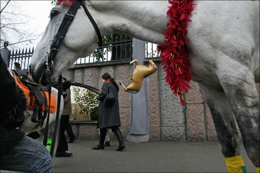 fot. Artem Zhitenev