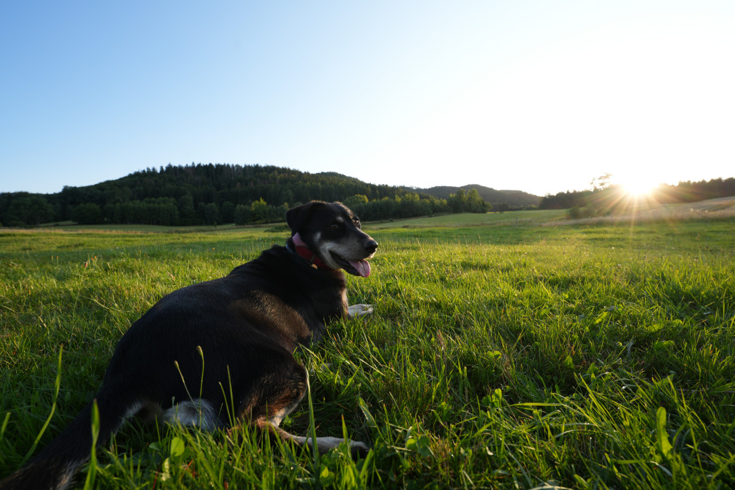 1/125 s, f/7.1, ISO 200, 16.0 mm