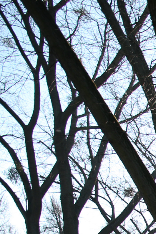 ogniskowa 30 mm