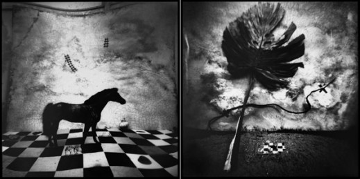 Edyta Wypierowska "Still Life II"
