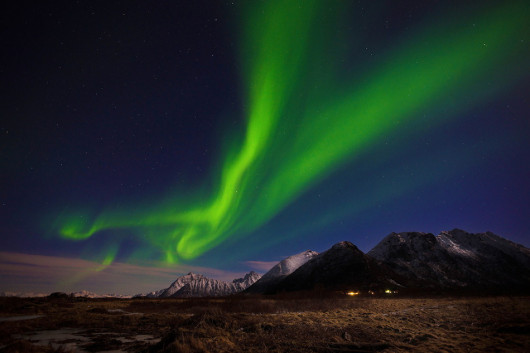 fot. Anita Servaas / Sony World Photography Awards 2016