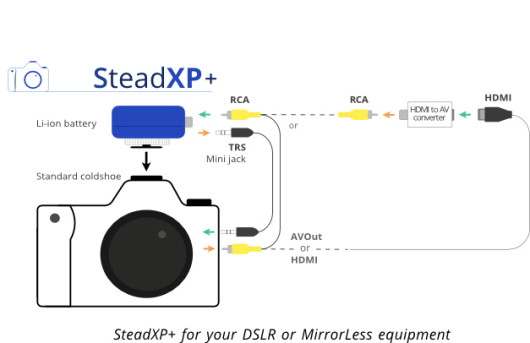 Stead XP