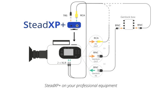 Stead XP