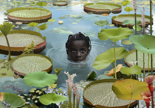 ⓒ Ruud van Empel