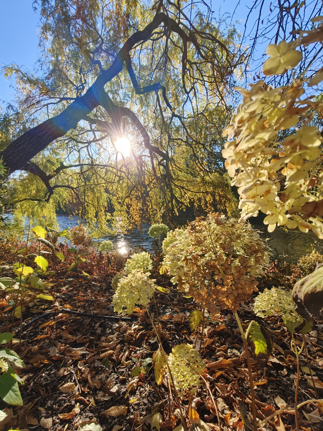 1/200 s, f/2, ISO 100, 15 mm