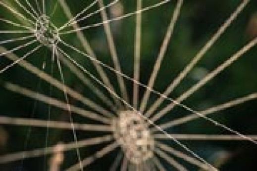 "Fotoklimaty" - wystawa fotografii przyrodniczej