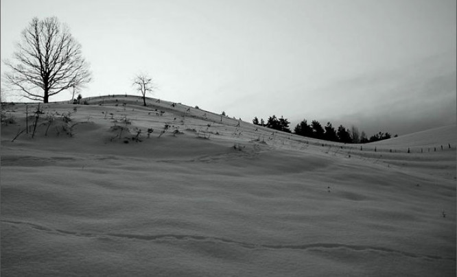  Warsztaty "Fotografia w twórczych Bieszczadach"