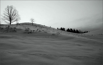 Warsztaty "Fotografia w twórczych Bieszczadach"