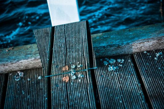 fot. Monika Cichosz