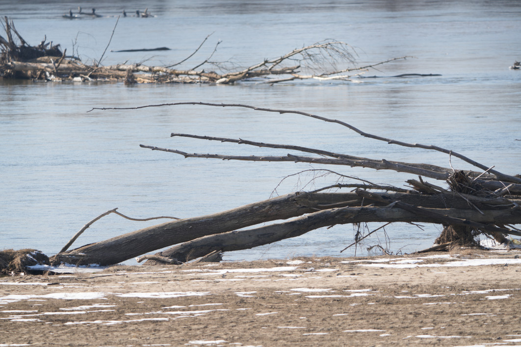 1/250 s, f/6.3, ISO 100, 405.0 mm