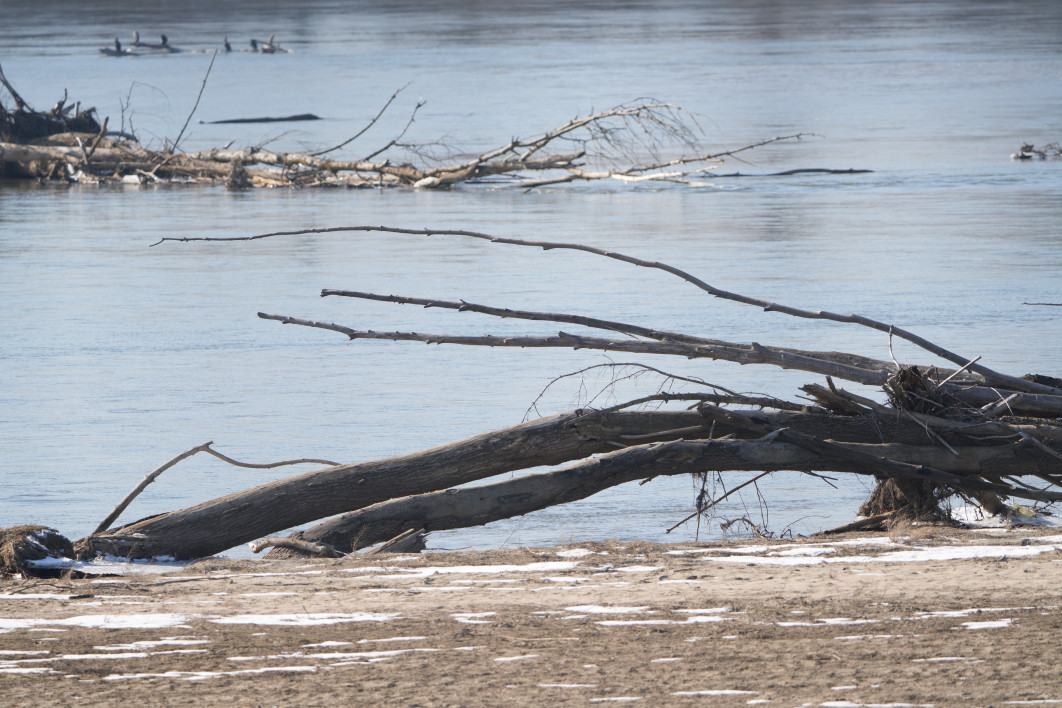 1/250 s, f/8, ISO 160, 405.0 mm