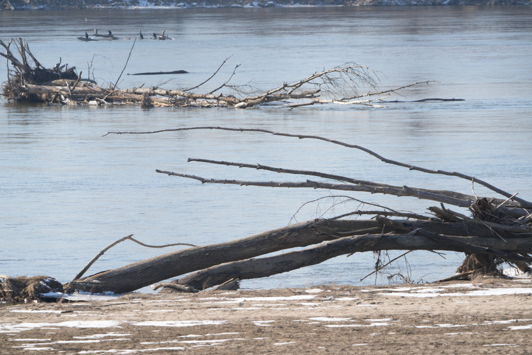 1/250 s, f/11, ISO 320, 405.0 mm