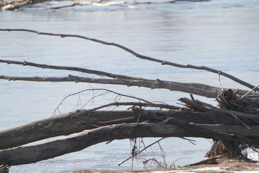 1/250 s, f/8, ISO 200, 800.0 mm