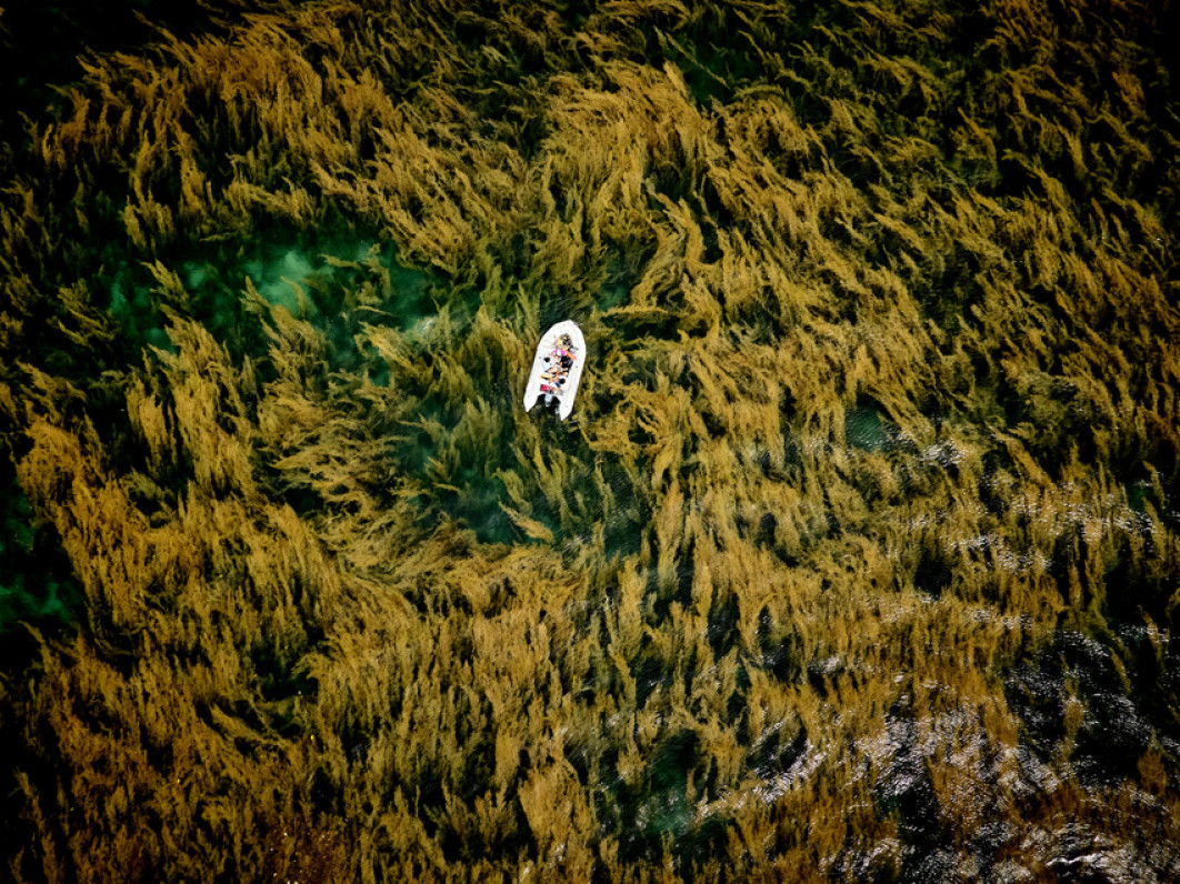 Fot. Hieu Linh Nguyen, Vietnam National Award / Sony World Photography Awards 2026
