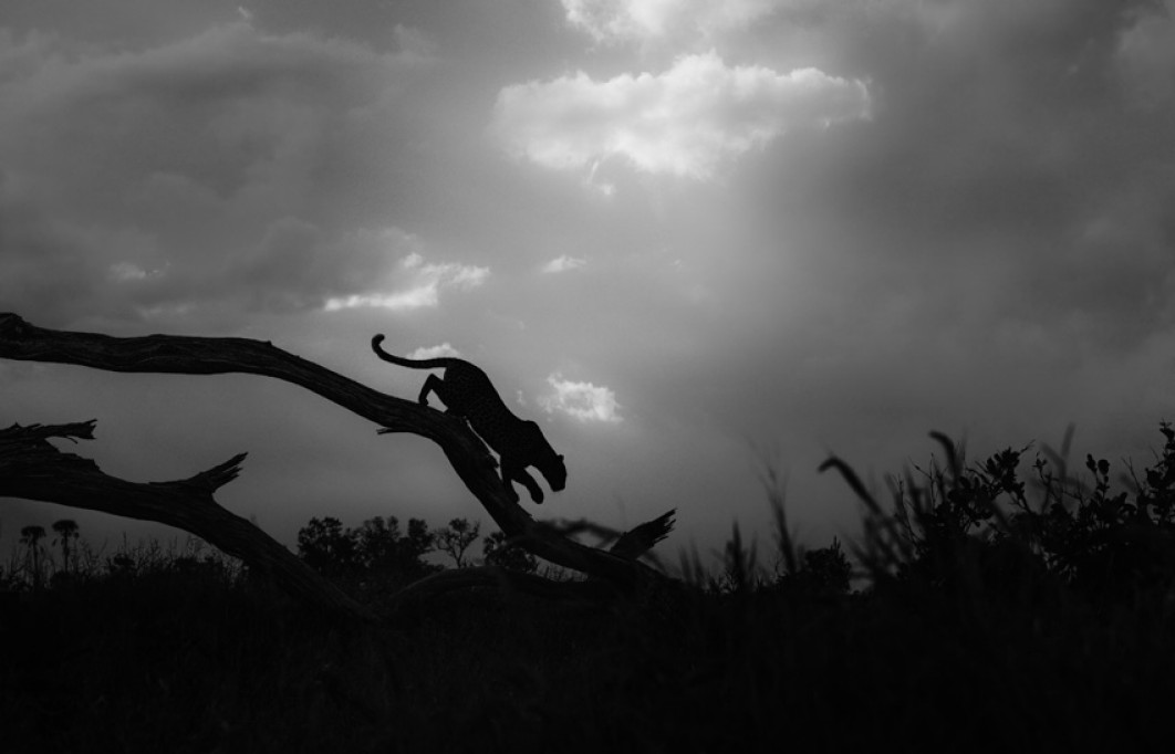 Fot. Geg du Toit, South Africa National Award / Sony World Photography Awards 2026