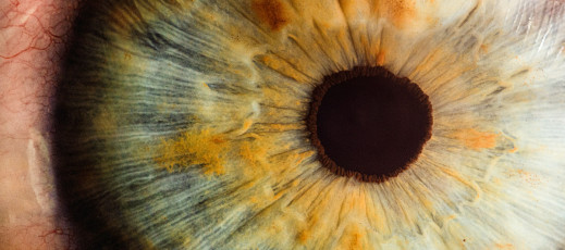 Fotografia makro a skala odwzorowania. Wybierz właściwy obiektyw